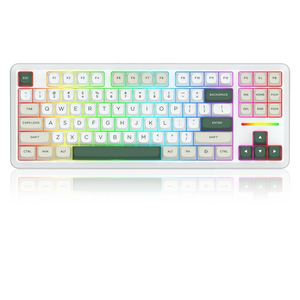 WILDSLASH K734WCG-RGB-PRO 3 Modes Connection TKL Mechanical Gaming Keyboard