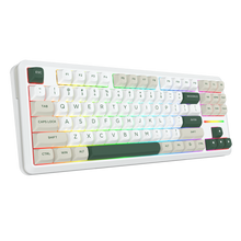 WILDSLASH K734WCG-RGB-PRO 3 Modes Connection TKL Mechanical Gaming Keyboard