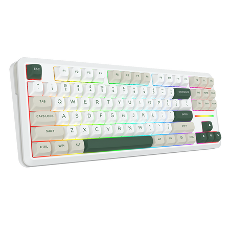 WILDSLASH K734WCG-RGB-PRO 3 Modes Connection TKL Mechanical Gaming Keyboard