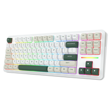 WILDSLASH K734WCG-RGB-PRO 3 Modes Connection TKL Mechanical Gaming Keyboard