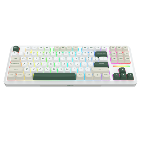 WILDSLASH K734WCG-RGB-PRO 3 Modes Connection TKL Mechanical Gaming Keyboard