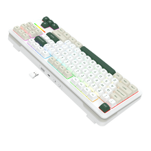 WILDSLASH K734WCG-RGB-PRO 3 Modes Connection TKL Mechanical Gaming Keyboard