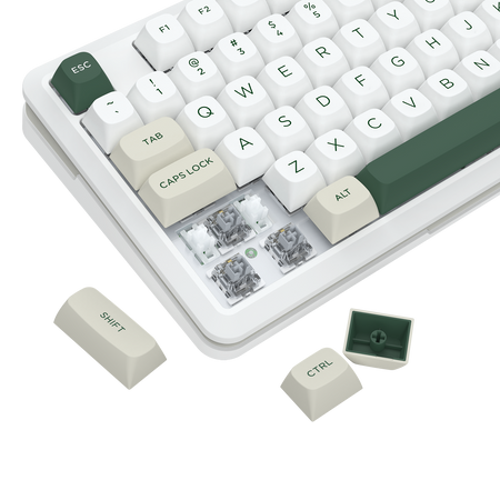 WILDSLASH K734WCG-RGB-PRO 3 Modes Connection TKL Mechanical Gaming Keyboard