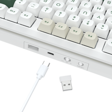 WILDSLASH K734WCG-RGB-PRO 3 Modes Connection TKL Mechanical Gaming Keyboard