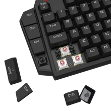 Close-up of a mechanical keyboard with key components highlighted on a black background