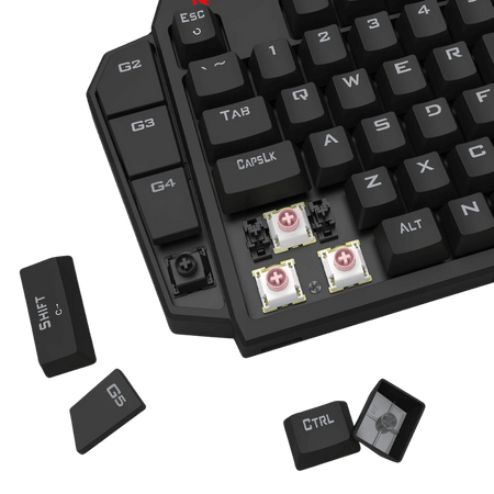 Close-up of a mechanical keyboard with key components highlighted on a black background