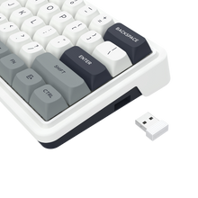 Redragon K722 PRO 60% Wireless Gasket RGB Gaming Keyboard, 61 Keys Hot-Swap Compact Mechanical Keyboard w/Free-Mod Socket, 5-Layer Noise Dampening & Round PBT Keycaps, Quiet Custom Linear Switch