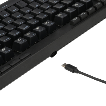 Redragon K587-PRO 87 Keys Compact RGB TKL Mechanical Gaming Keyboard